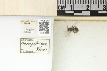 Media type: image;   Entomology 768825 Aspect: Labels